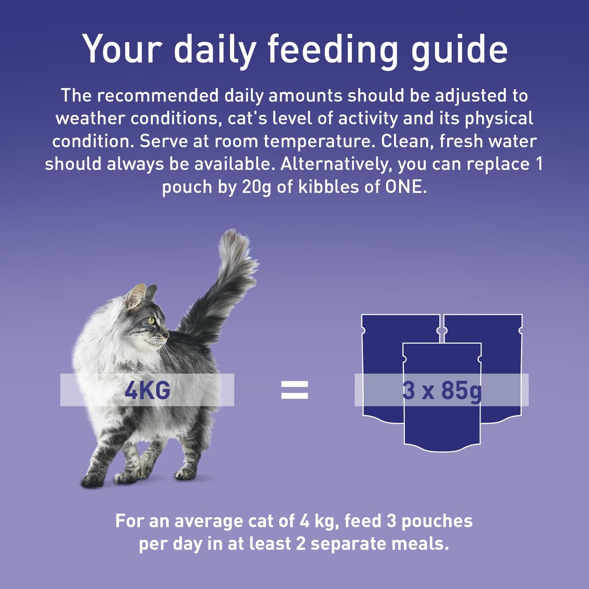 PURINA ONE Mini Fillets Mixed Selection in Gravy Adult Wet Cat Food 40x85g — view 8