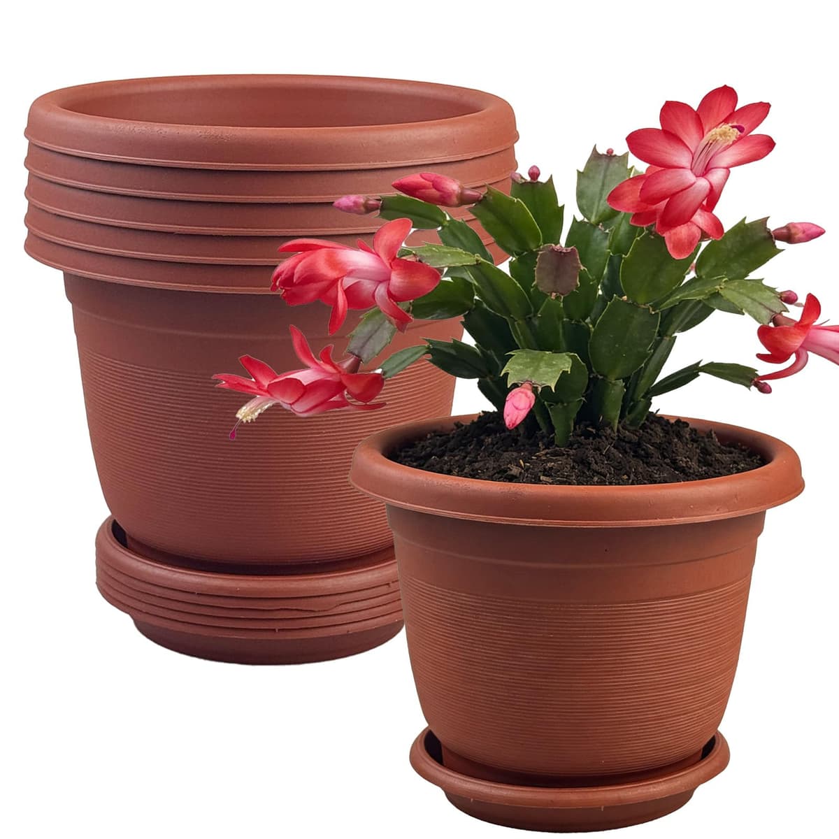 6Pack 15.5cm/6.1-in Plant Pots Indoor Plastic Flower Pots with Drainage Holes and Saucers Modern Decorative Planters Succulent Indoor Outdoor Plants - Terracotta