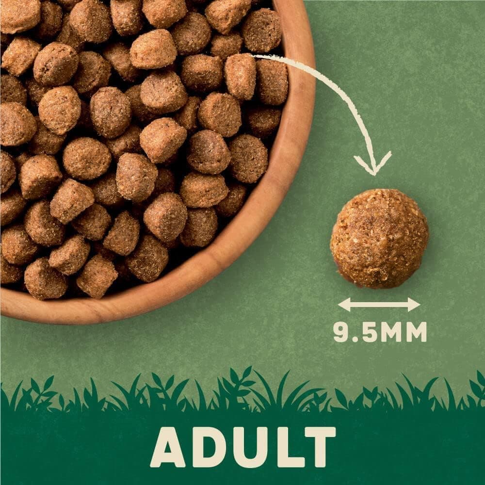 Harringtons Complete Dry Adult Dog Food Lamb & Rice 15kg - Made with All Natural Ingredients (Packaging may vary) — view 6