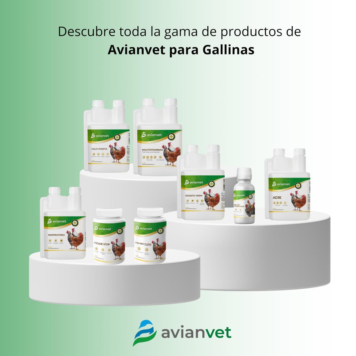 Respiratorio | Suplemento Natural para gallinas con mentol y eucalipto | Bienestar y Confort Ambiental en Aves | 500 ml — view 4