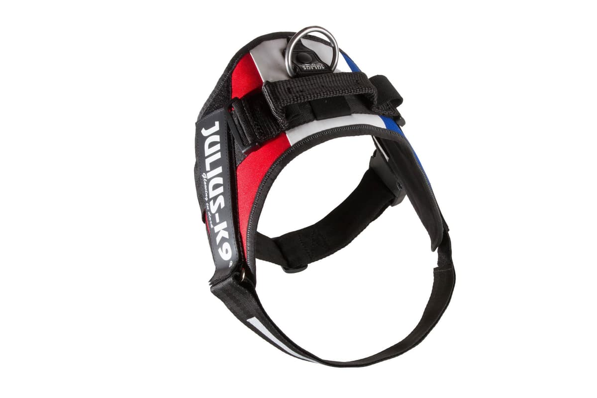 Julius-K9, 16IDC-AM-M, IDC Powerharness, dog harness, Size: Mini, Aquamarine — view 449
