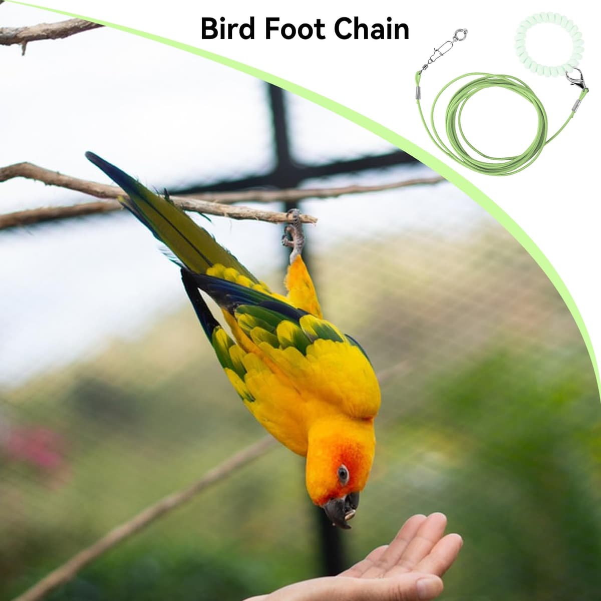 Cadena de pie de pájaro, Cuerda voladora Desmontable para Loros para Mascotas, Juguete de Entrenamiento para pájaros Resistente a Las mordeduras con de Tobillo para terraza, jardín, Patio — view 2