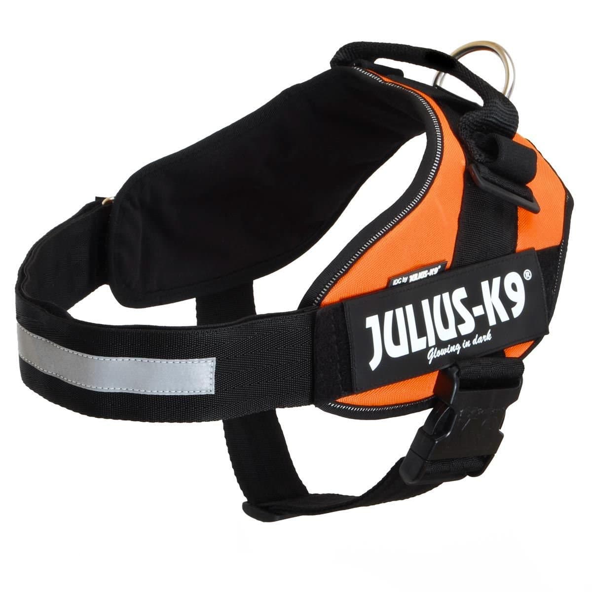 Julius-K9, 16IDC-AM-M, IDC Powerharness, dog harness, Size: Mini, Aquamarine — view 123