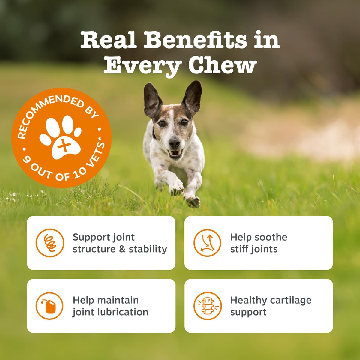 Zesty Paws Hip & Joint Chews for Dogs | Supports Joint Flexibility, Mobility, Healthy Cartilage & Helps Soothe Stiff Joints | With Glucosamine, Chondroitin, Green-Lipped Mussel | Daily Use | 90 Chews — view 3