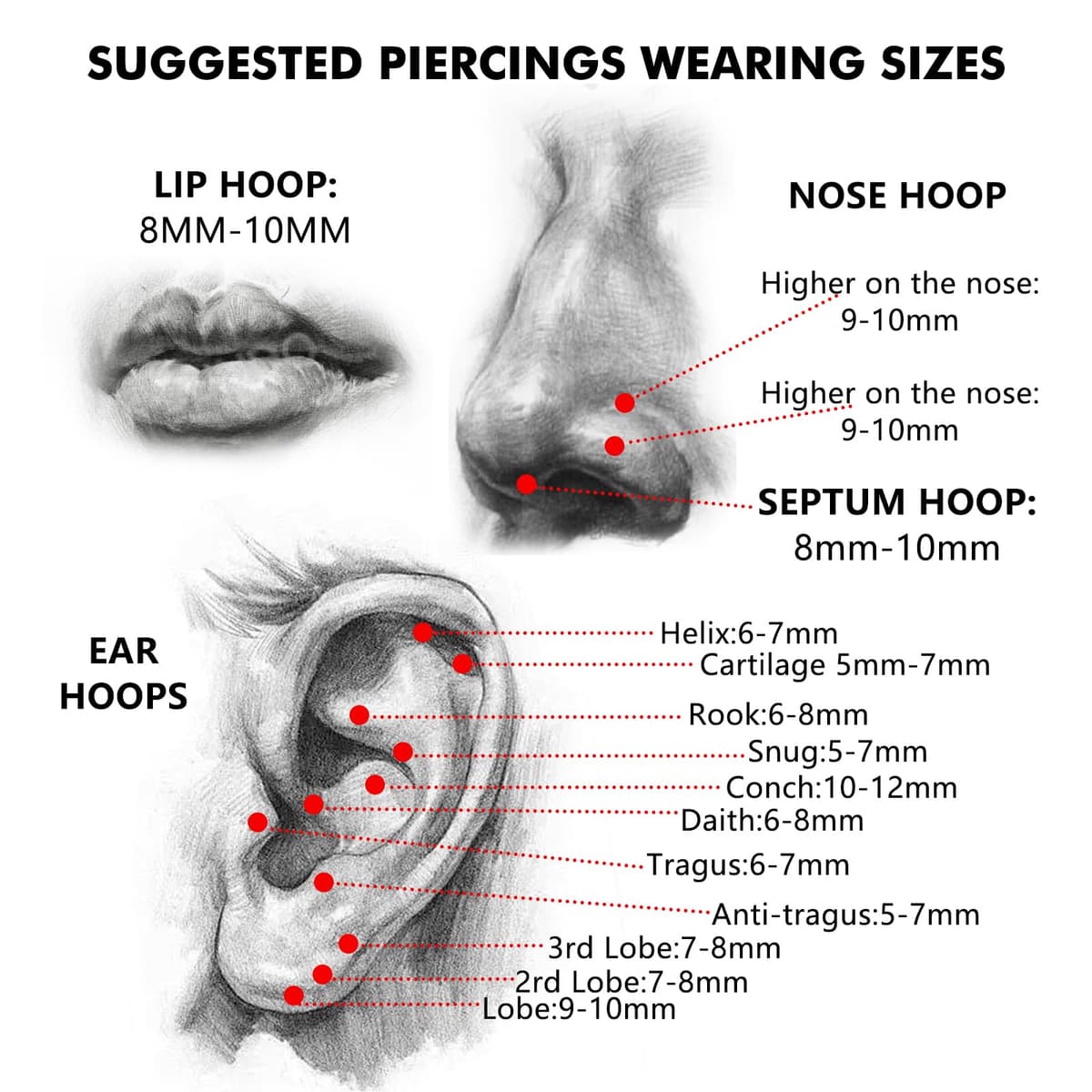 Piercing Nariz Aro G23 Titanio Pendientes Nariz Piercing Nostril Tragus Septum Helix Daith Piercing Labio Inferior Plata Oro 6MM 8MM 10MM 12MM 16G 18G 20G — view 7