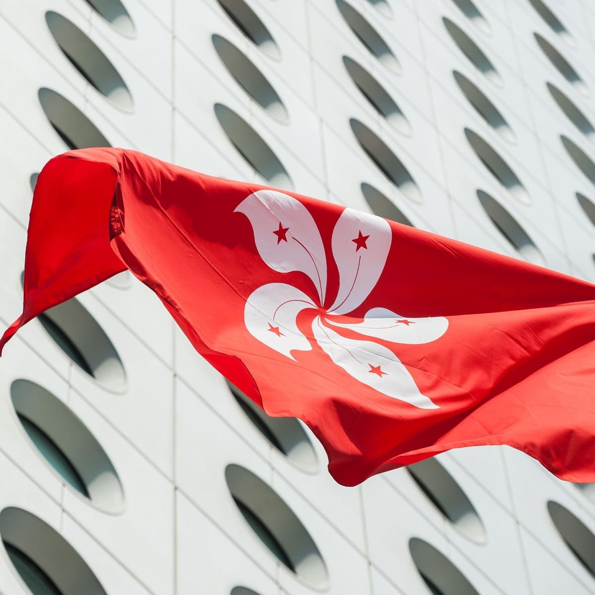Runesol Cornwall Flag - 91x152cm, 3ft x 5ft, Cornish Flag, 4 Grommets, Eyelet in Every Corner, Premium Quality, Inside & Outside Use, Vivid Colours — view 125