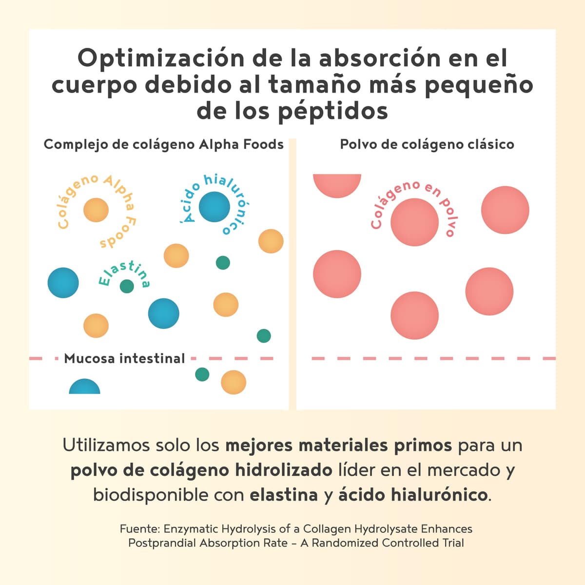 Colágeno en Polvo 400g | Péptidos de Colageno Hidrolizado con Acido Hialuronico y Elastina Marino | Collagen Peptides Tipos I, II, III | Sabor Vainilla | Alpha Foods — view 4