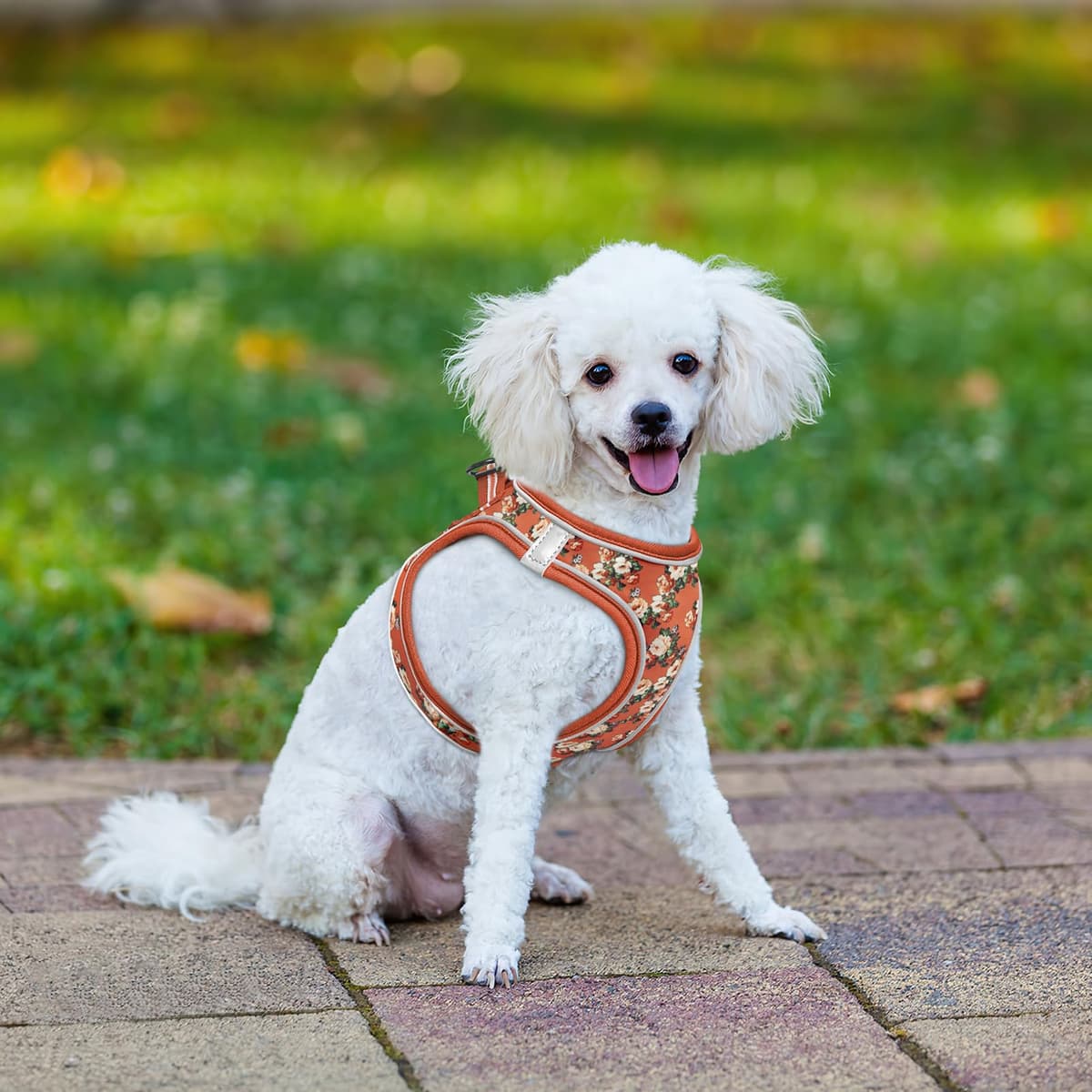 HEELE Arnes Perro Pequeño con Lineas Reflecantes Arnés Perro Antitirones Ajustable Suave Acolchado Cómodo para Viajar Pasear con Mascota, Flores Nanranja, S — view 5