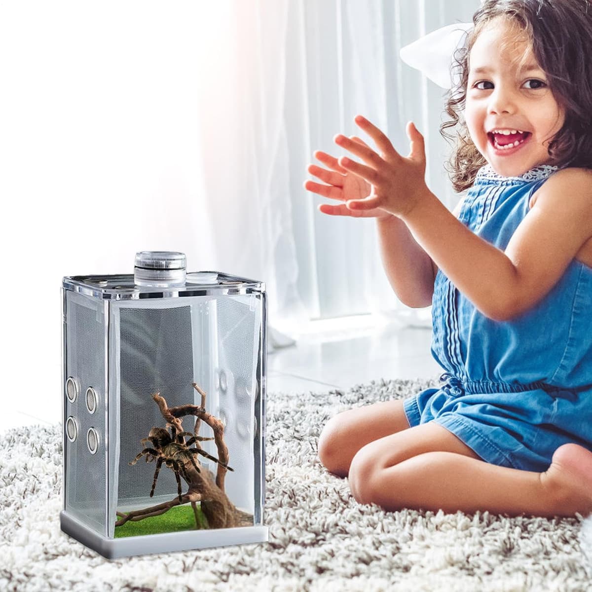 Genérico Recinto para Arañas Saltarinas - Mini Hábitat Acrílico con Luz LED Terrario De Alta Transparencia | Estuche De Observación De Insectos, Pequeña para Vivienda De Reptiles, Exhibición De — view 3