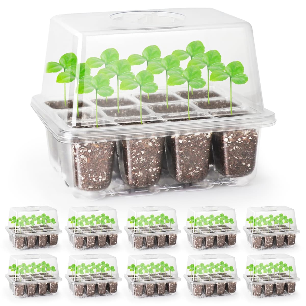 MIXC Seed Trays, 10 Pack 120 Cells Seed Tray for Seedlings Reusable Seed Trays with Lids, propagators for plants, Germination Trays Kit Plastic for Greenhouse/Garden Black — view 9
