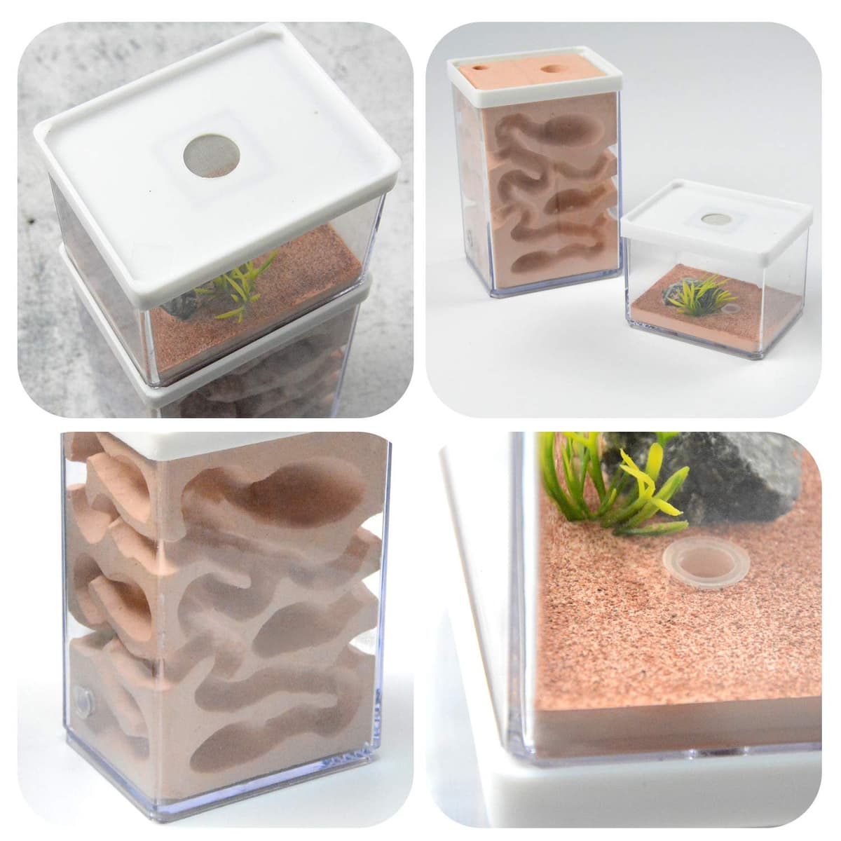 aleawol Ant Nest Farm Natural Gypsum, Transparent Ant Formicarium World House Feeding Box for Observing Habits Science Experiment Gift — view 4