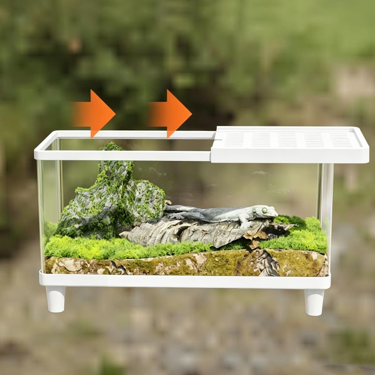Terrario para Reptiles - Mantenedor de lagartos Transparente con ventilación | Terrario Acrílico para Arañas y Galápago,Tortuga Terrestre, Iguana, Gecko Leopardo, Dragón Barbudo — view 5