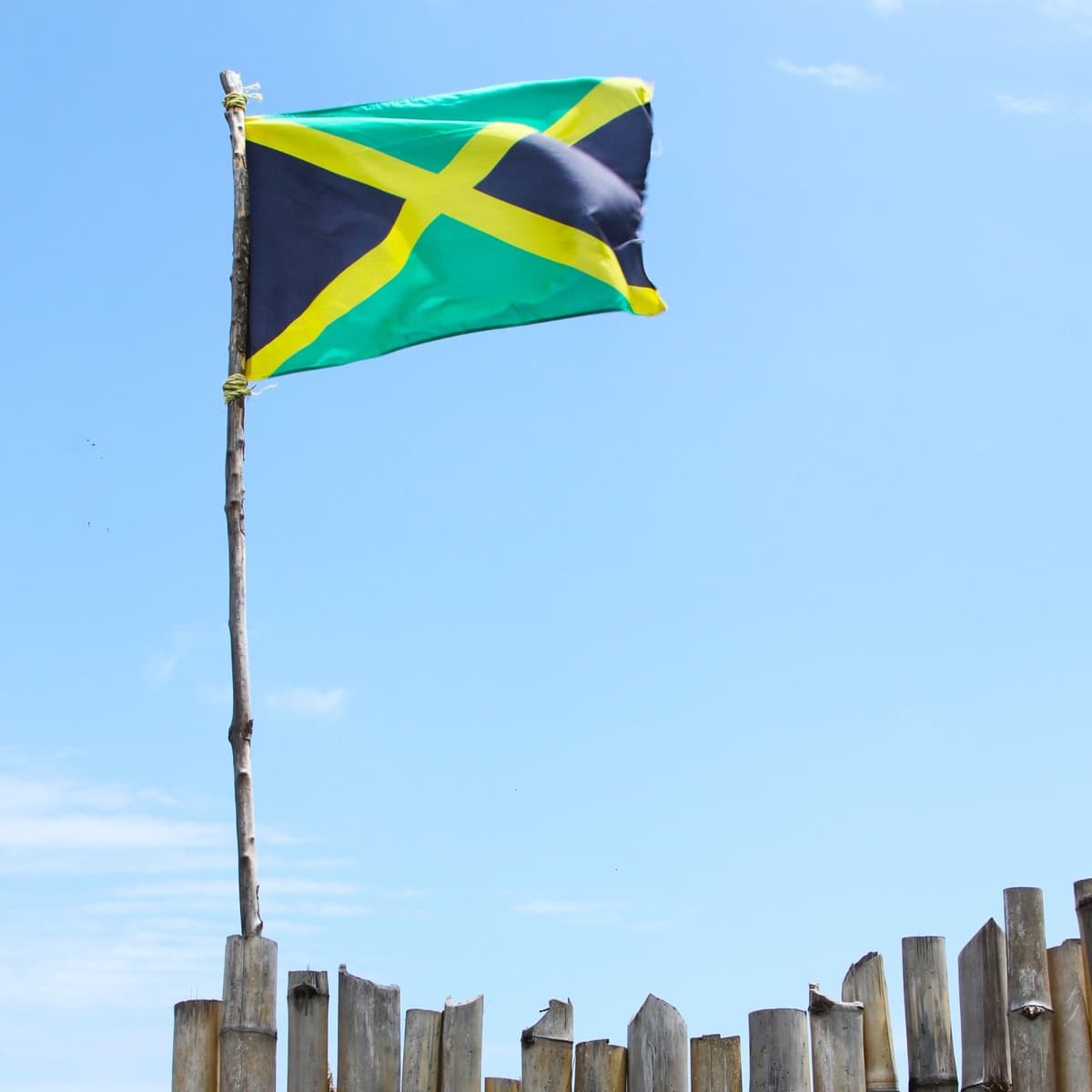 Runesol Cornwall Flag - 91x152cm, 3ft x 5ft, Cornish Flag, 4 Grommets, Eyelet in Every Corner, Premium Quality, Inside & Outside Use, Vivid Colours — view 802