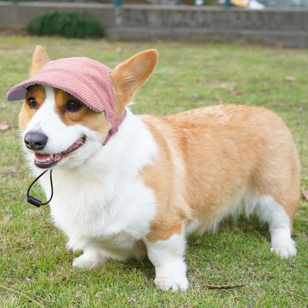 Dog Baseball Cap, Dog Cat Summer Beach Visor Hat with Ear Holes, Adjustable Puppy Sunbonnet Headdress (Pink, Medium) — view 5