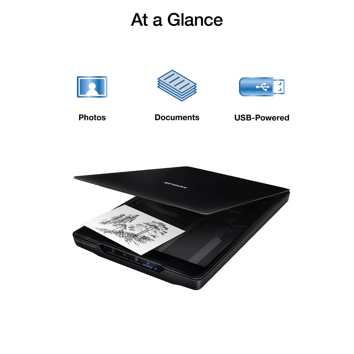 Epson Perfection V19 II Color Photo and Document Flatbed Scanner with 4800 dpi Optical Resolution, USB Power and High-Rise, Removable Lid — view 2