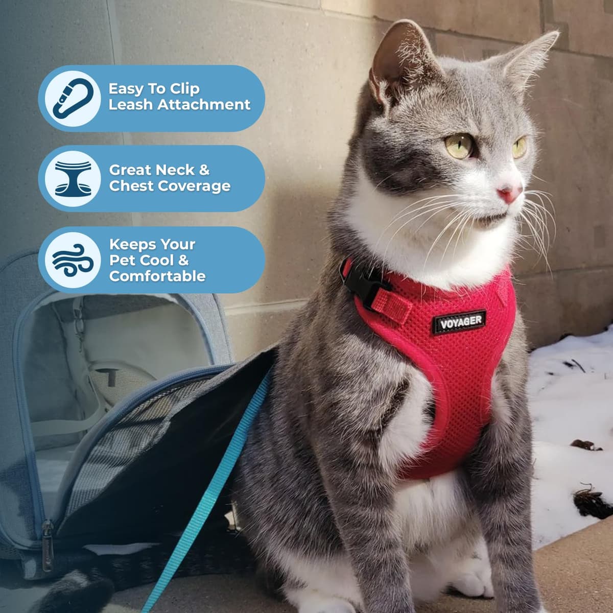 Voyager Step-in Lock Cat Harness and Reflective Cat Leash with Neoprene Handle by Best Pet Supplies - Supports Small, Medium and Large Breed Cats, Red, size XXS - 5ft — view 5