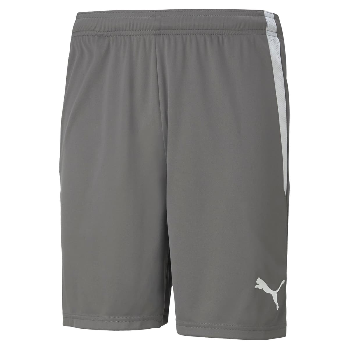 Puma Teamliga Shorts - Pantalones Cortos Hombre — view 19