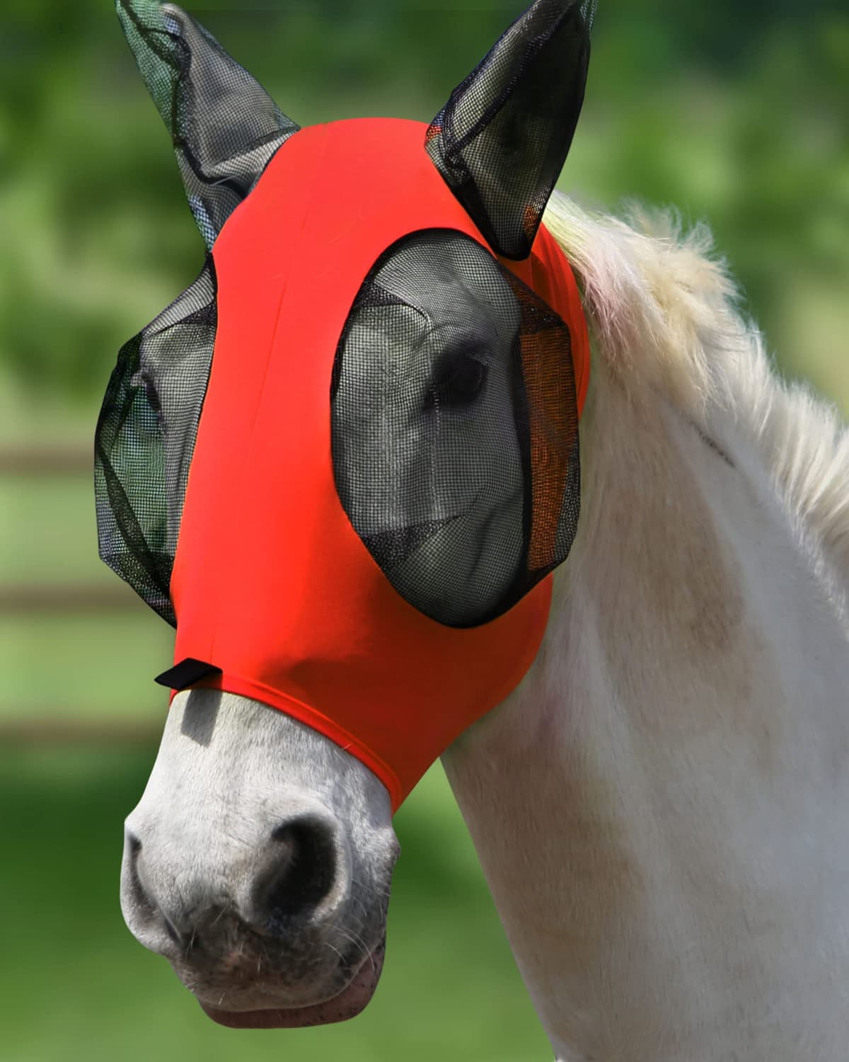 Harrison Howard Máscara elástica para Moscas de Caballo, excelente Comodidad con protección UV, máscara estándar para Caballos, Azul Marino M — view 30