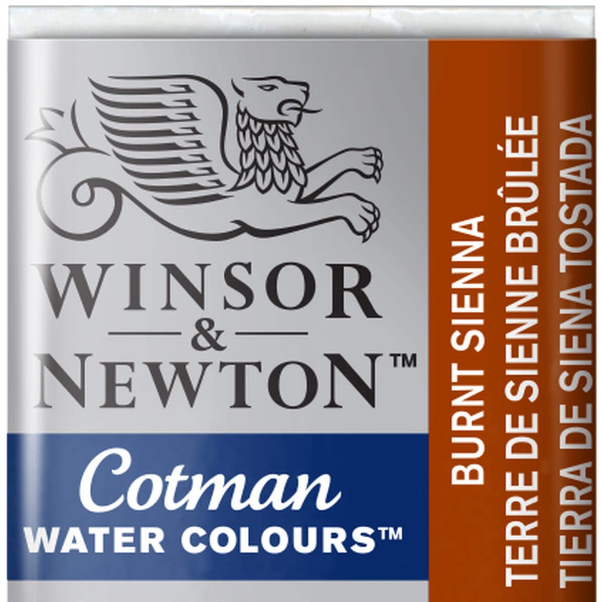 Winsor & Newton Cotman Acuarela En Pastilla, Grís De Payne, 1,9x1,6x1,1 cm — view 19