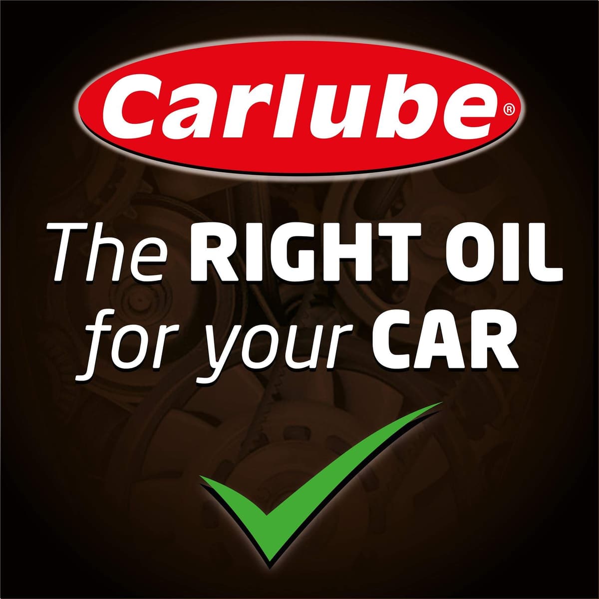 Carlube XLN501 2-Stroke Garden Machinery Oil — view 2