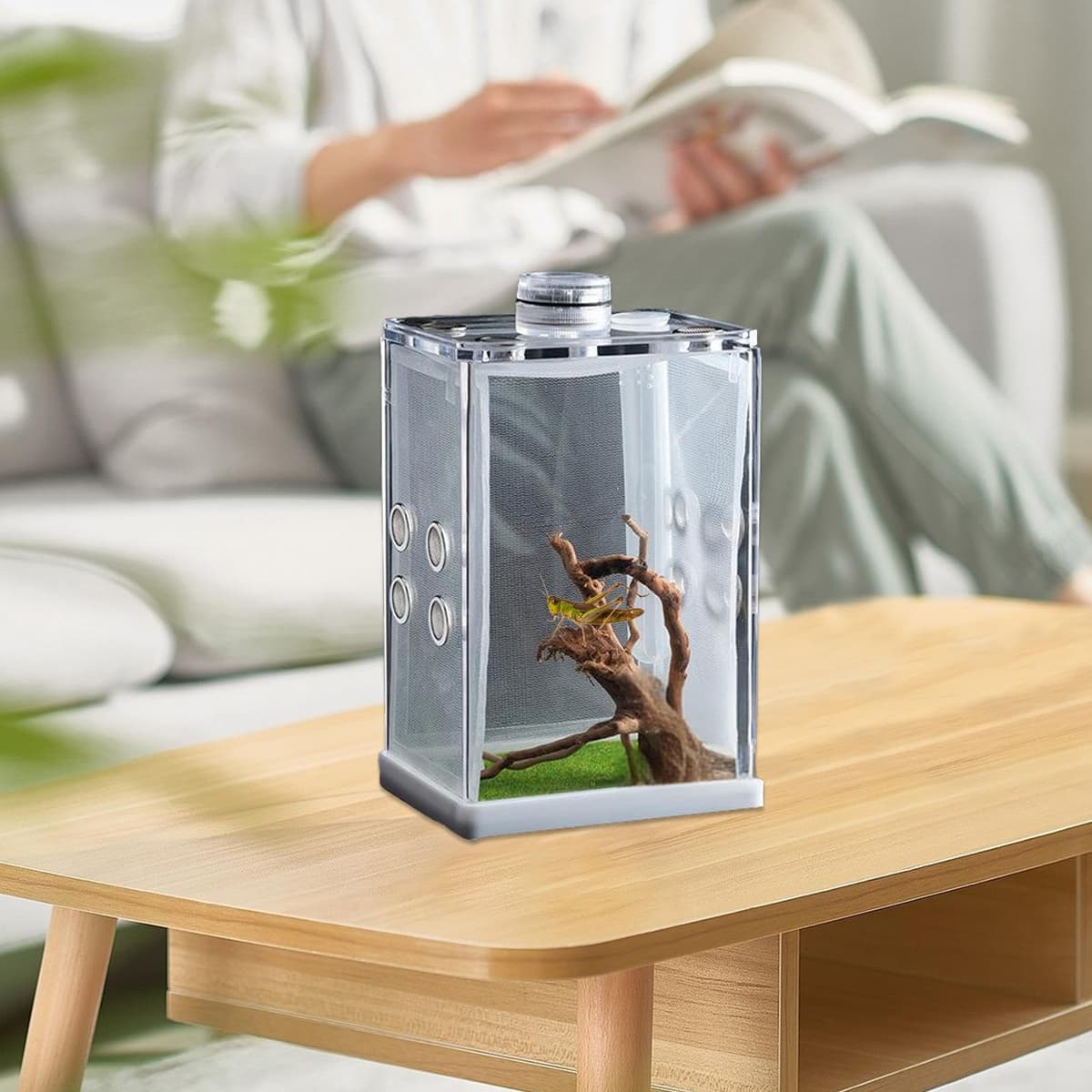 Genérico Recinto para Arañas Saltarinas - Mini Hábitat Acrílico con Luz LED Terrario De Alta Transparencia | Estuche De Observación De Insectos, Pequeña para Vivienda De Reptiles, Exhibición De — view 2