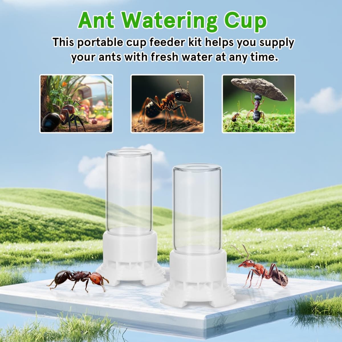 Yardwe Ant Water Feeders 2pcs Ant Mini Liquid Feeder Plastic Transparent Bird Water Dispenser Ant Breeding Containers Nest Ant Farm House for Ant — view 4
