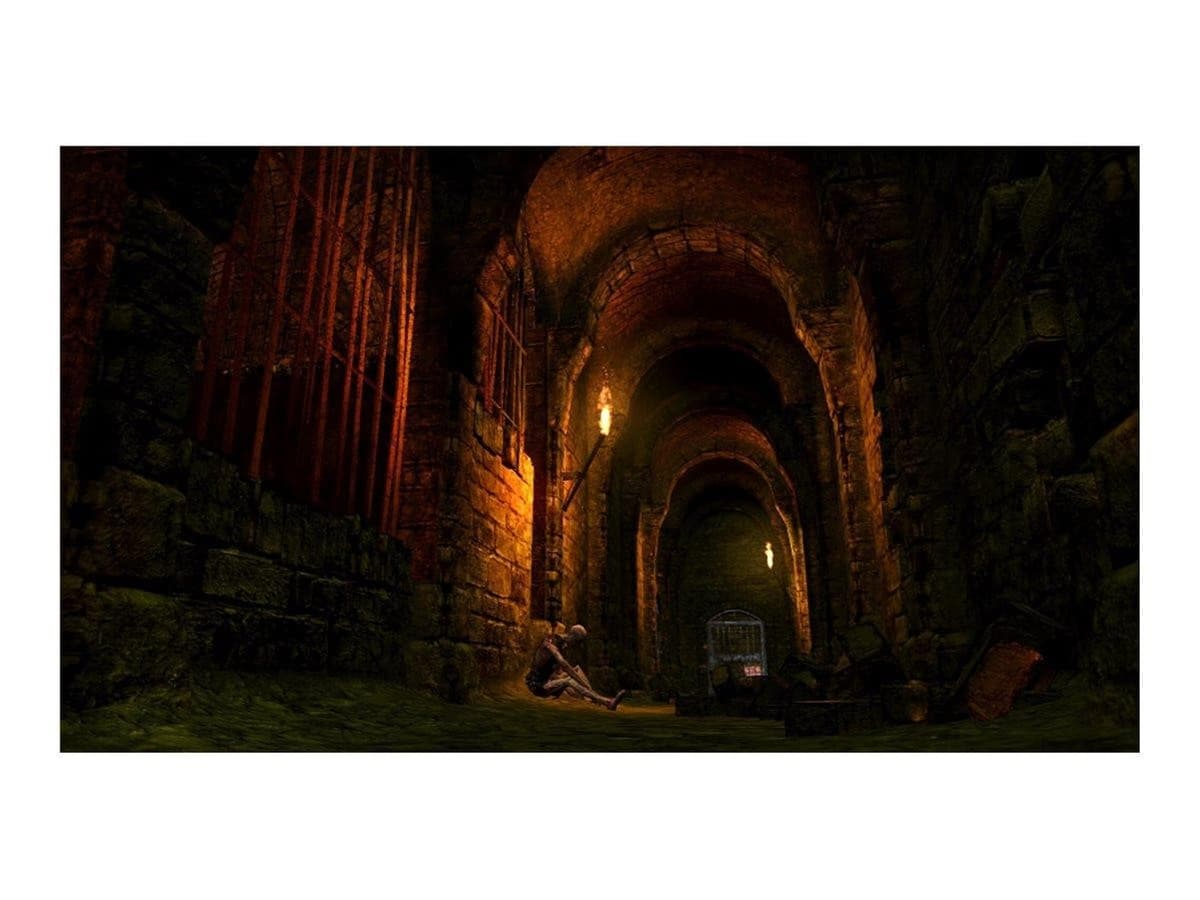Dark Souls Trilogy (PS4) — view 3