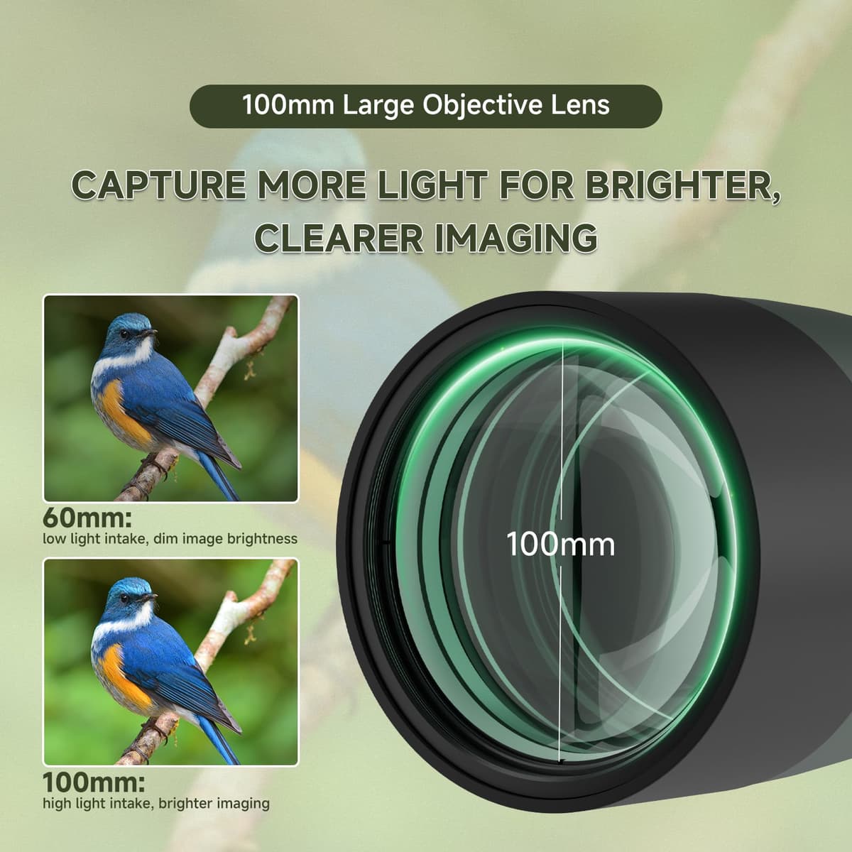 Svbony SV28 25-75x100mm Telescopio Terrestre con Trípode, Gran Campo de Visión Imágenes Claras y Brillantes, HD Bak4 FMC Telescopio Terrestre con Adaptador, para Tiro al Blanco, Observación de Aves — view 2