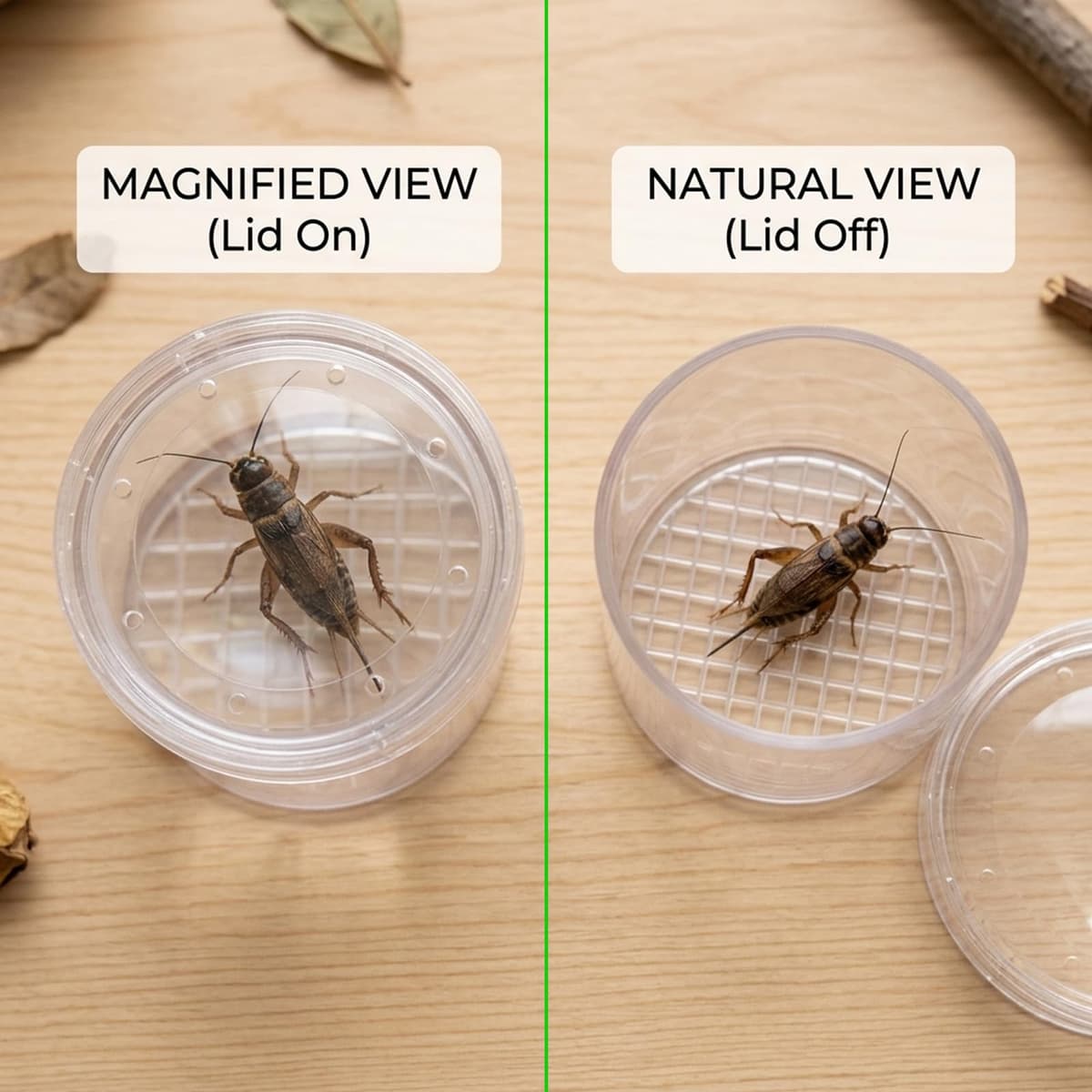 12 Pcs Bug Catcher, Insect Observation Bug Box Set, Magnifying Glass Containers for Nature Study, Ideal for Outdoor Exploration and Science Activities, Compact 40 x 40 x 30 mm Design — view 5