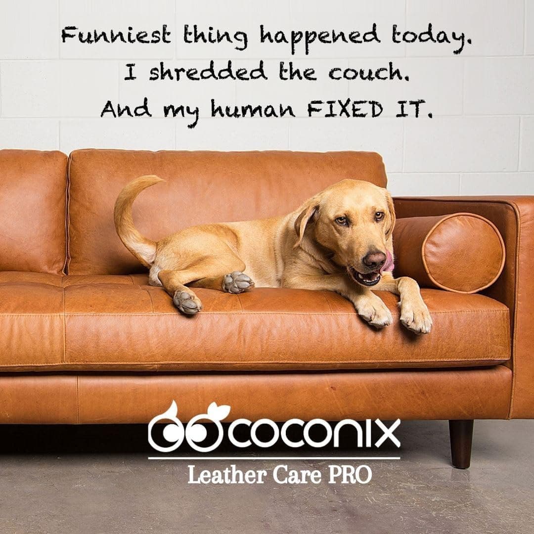 Coconix Leather & Vinyl Repair Kit | Fix Tears, Holes, Scratches, and Peeling on Leather and Vinyl Furniture, Car Seats, and Jackets | Easy Application with Customizable Colors — view 7
