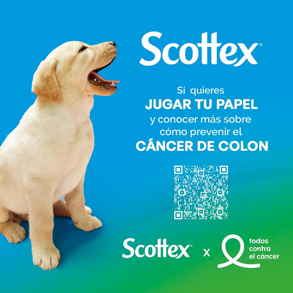 Scottex Original Papel higiénico, 96 rollos, 6 packs de 16 rollos dos capas que proporcionan el equilibro adecuado en suavidad y resistencia — view 5