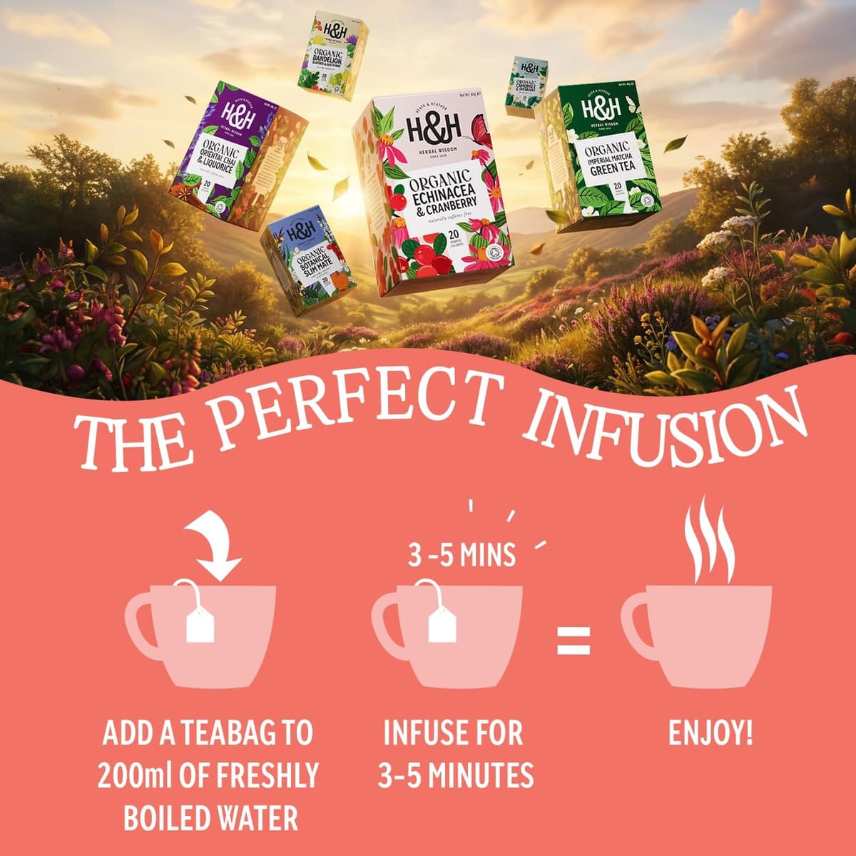 Heath & Heather - Organic Apple & Cinnamon Tea • Warming Fruit & Spice Infusion • Naturally Caffeine-Free • Vegan • Comforting & Aromatic • Multipack 6 x 20 Boxes (120 Tea Bags) — view 4