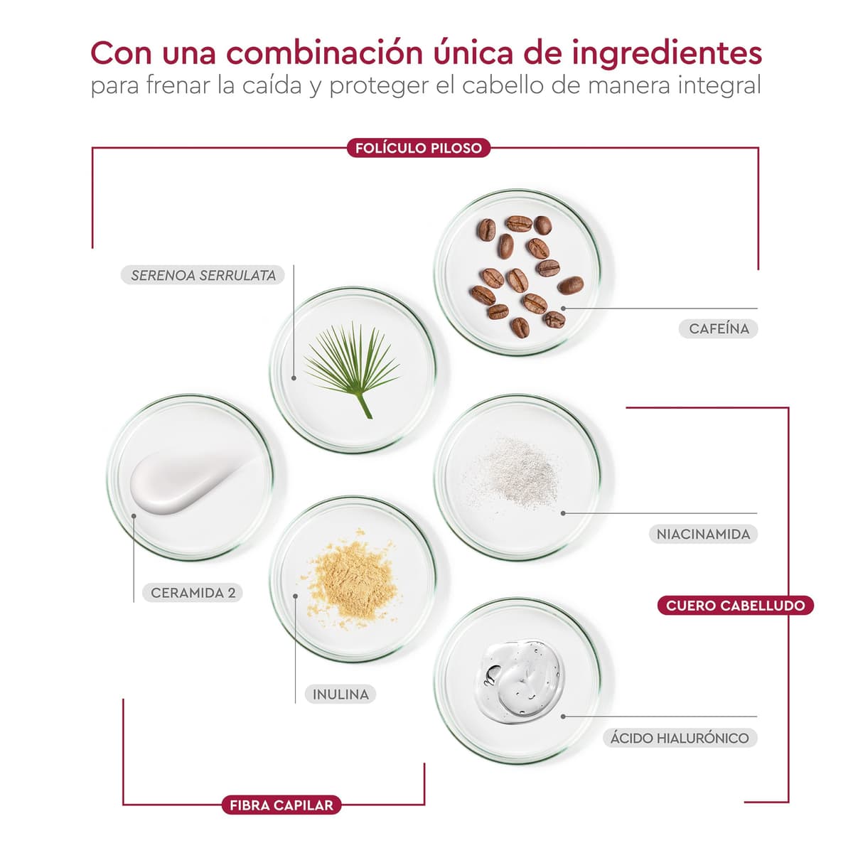 PILEXIL - Champú Anticaída Triple Protection 900 ml - Frena la Caída del Cabello, Fortalece y Suaviza la Fibra Capilar e Hidrata y Protege el Cuero Cabelludo - Para Hombres y Mujeres — view 6