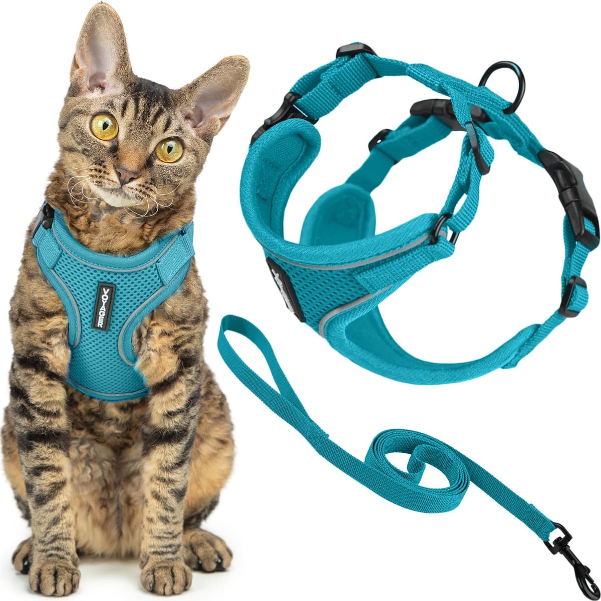 Best Pet Supplies Voyager Step-in Lock Pet Harness – All Weather Mesh, Adjustable Step in Harness for Cats and Dogs Turquoise (Matching Trim), XL (Chest: 22-36") — view 66