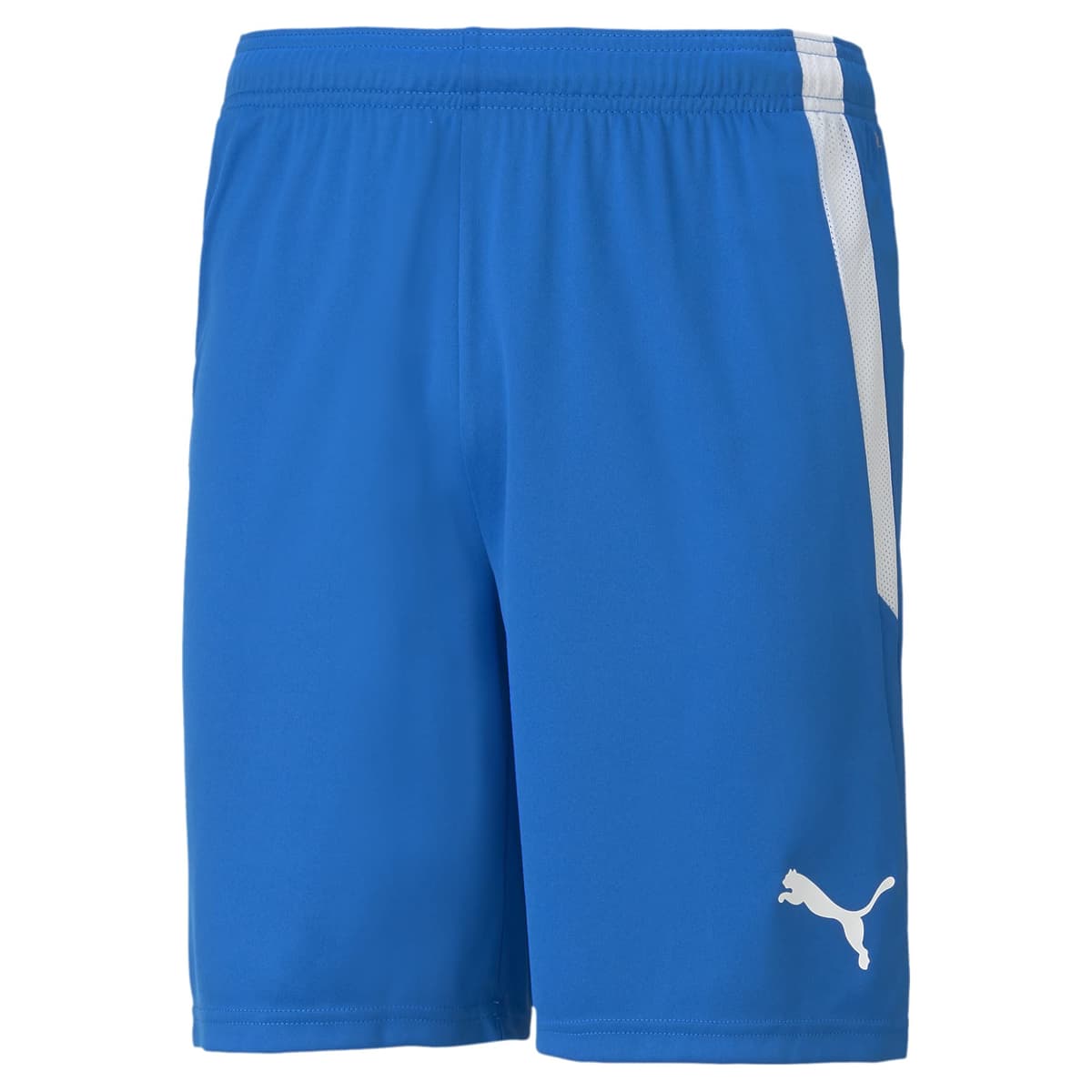 Puma Teamliga Shorts - Pantalones Cortos Hombre — view 22