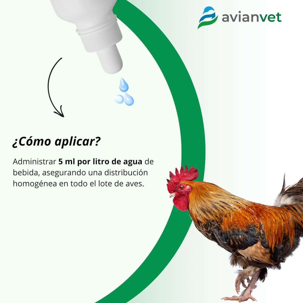 Calcio Gallinas | Suplemento con Calcio y Vitamina D3 para gallinas ponedoras | Apoyo en Puesta de Huevos | 500 ml — view 3