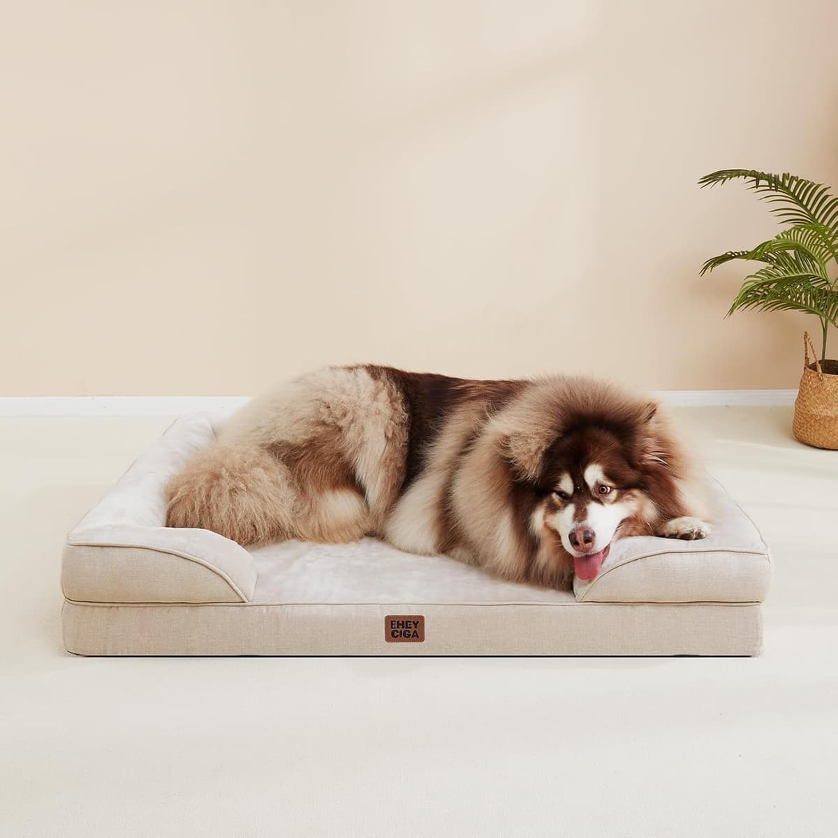 EHEYCIGA Orthopedic Dog Bed for Small Dogs, Waterproof Memory Foam Small Dog Beds with Sides, Non-Slip Bottom and Egg-Crate Foam Medium Pet Couch Bed with Washable Removable Cover, Beige 24.0"L x 18.0"W x 6.0"Th Beige — view 4