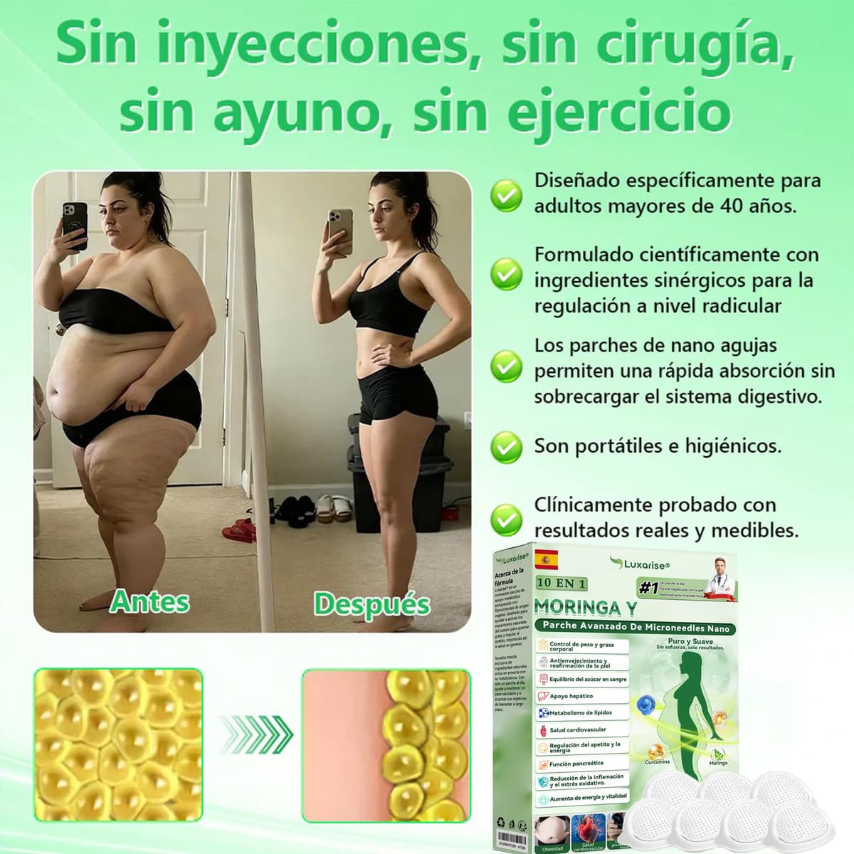 Luxarise 10 EN 1 Moringa Parche Avanzado, 2026 Nuevo Moringa Parches, Luxarise Parches adelgazantes, Ingredientes Naturales, para hombres y mujeres (4 Caja) — view 2