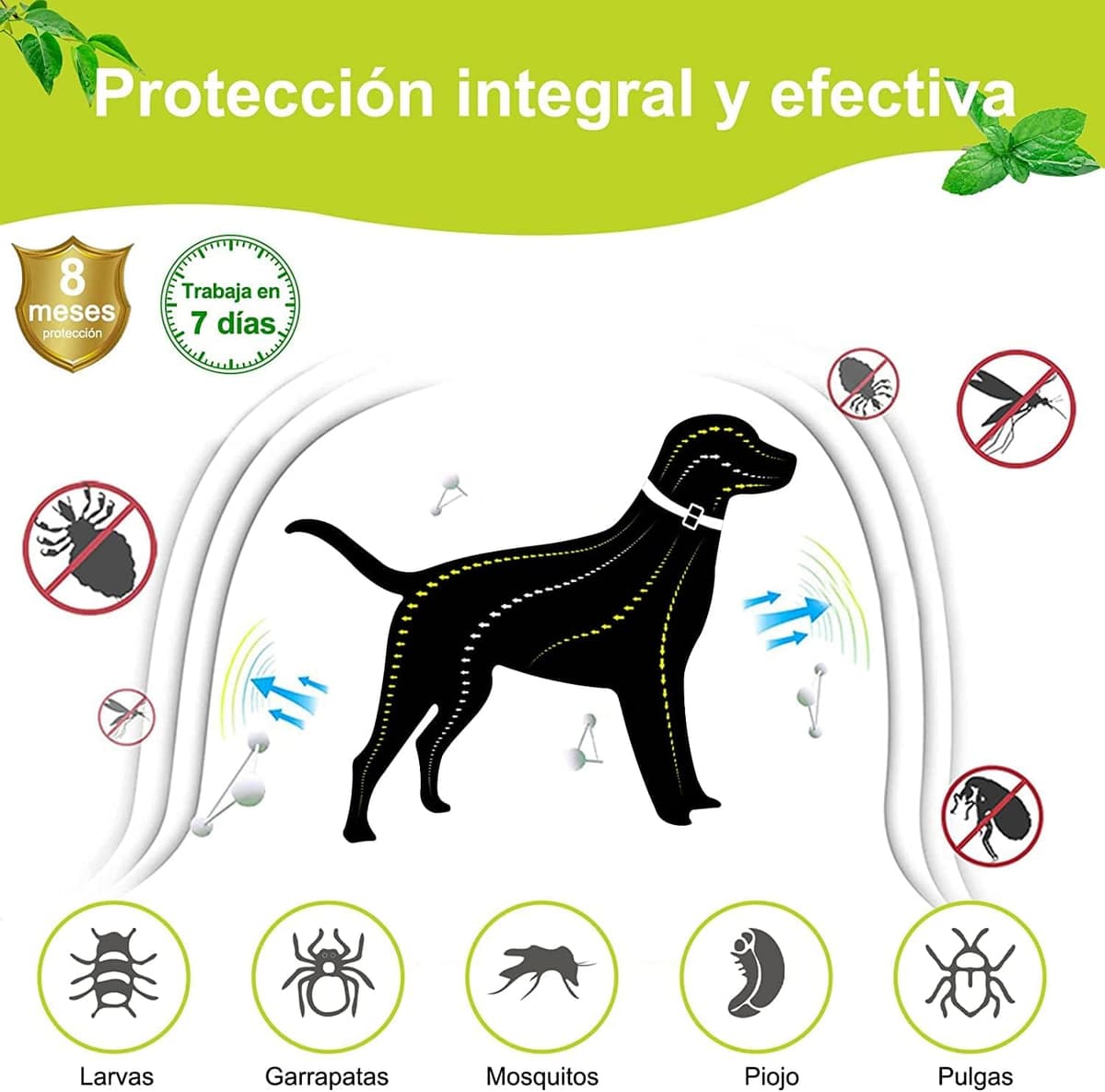 DEWEL Collar contra Pulgas y Garrapatas para Perros Grandes Medianos y Pequeños, Collar Antiparasitario para Perros 8 Meses de Protección, Control Antipulgas para Mascotas de 63,5 cm Gris 1 Unidad — view 5