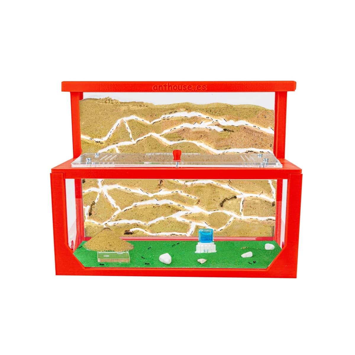 Anthouse.es - Hormiguero Natural de Arena - Kit Hormiguero 3D Forma de L (Sándwich + Caja de Forrajeo) - Granja de Hormigas con Colonia de Hormigas Incluida - 25x20x1 cm y 10x24x10 cm - Azul — view 8