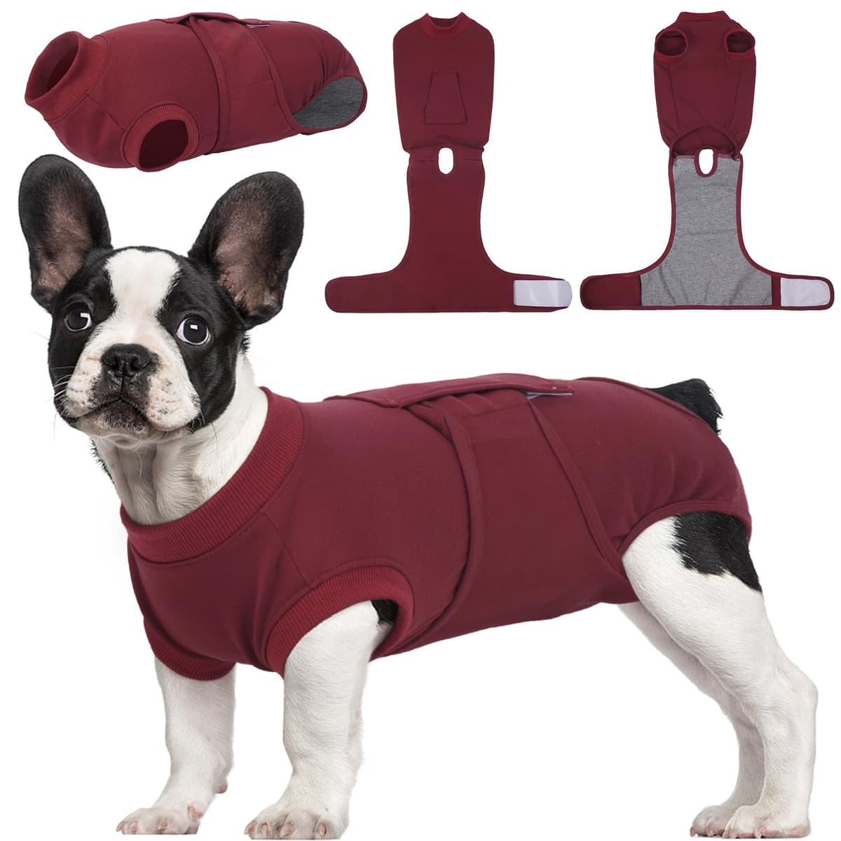 Kuoser Traje de recuperación de Perro para Hombre/Mujer, Camiseta para Cachorros después de la cirugía, Alternativa de Cuello electrónico para Mascotas pequeño, Mediano y Grande — view 21