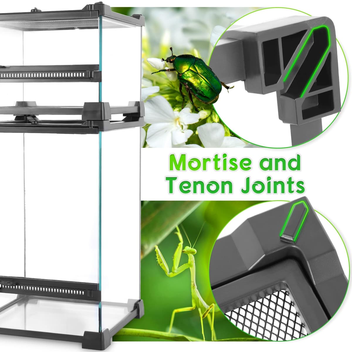 Mini Reptile Glass Terrarium 8"x8"x12" Durable Reptile Habitat Tank with Heat Resistant Aluminum Alloy Frame, Single Swinging Doors for no Jam by Sand and Other Debris — view 2