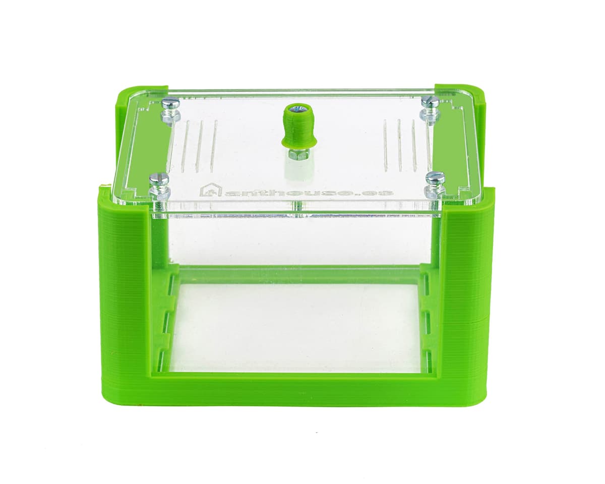 Anthouse - Hormiguero Natural de Arena Básico- Terrario 3D de Hormigas con Colonia Incluida - Kit Hormiguero Acrílico Tipo Sándwich (12x10x1 cm), Caja de Forrajeo con Tapadera (18x10x5 cm) - Verde — view 2