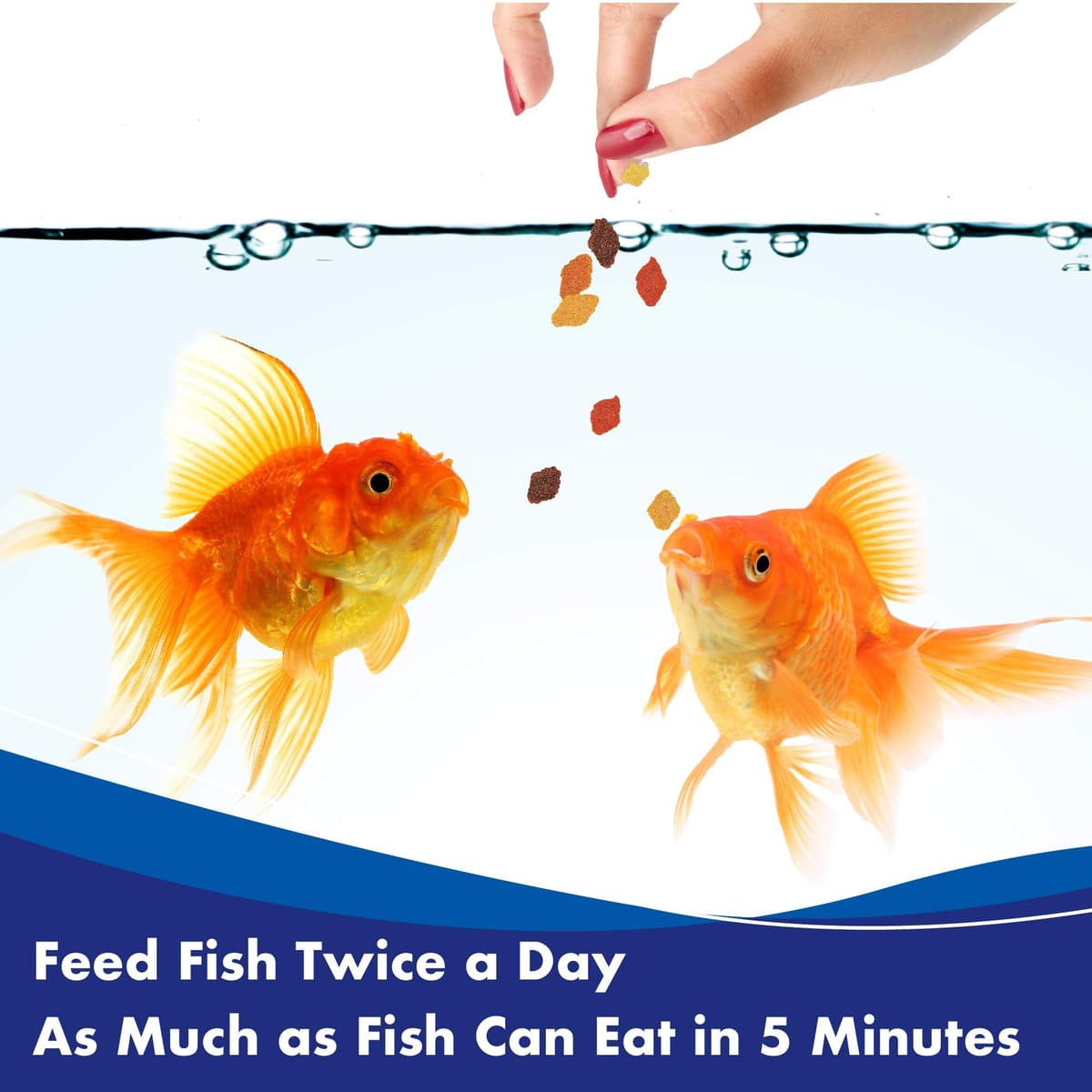 AQUARIAN Complete Nutrition, Aquarium Goldfish Food, Flakes Also Suitable for Small Pond Fish, 200 g Container — view 5