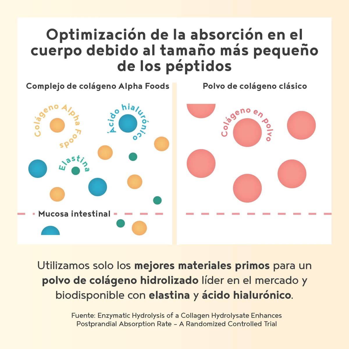 Colágeno en Polvo 400g | Péptidos de Colageno Hidrolizado con Acido Hialuronico y Elastina Marino | Collagen Peptides Tipos I, II, III | Sabor Chocolate | Alpha Foods — view 4