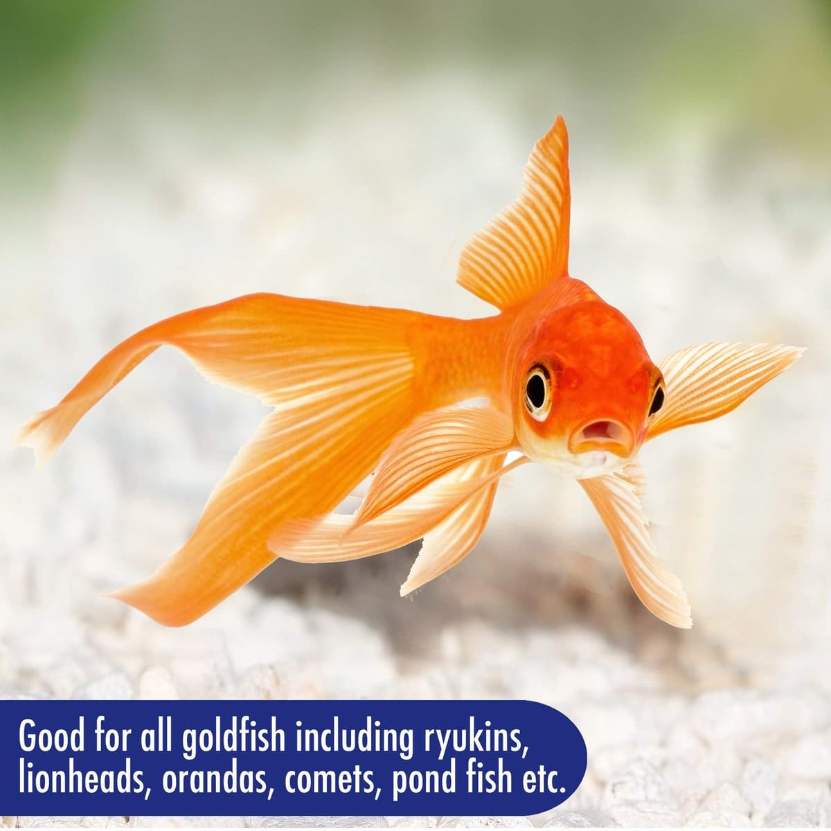 AQUARIAN Complete Nutrition, Aquarium Goldfish Food, Flakes Also Suitable for Small Pond Fish, 200 g Container — view 4