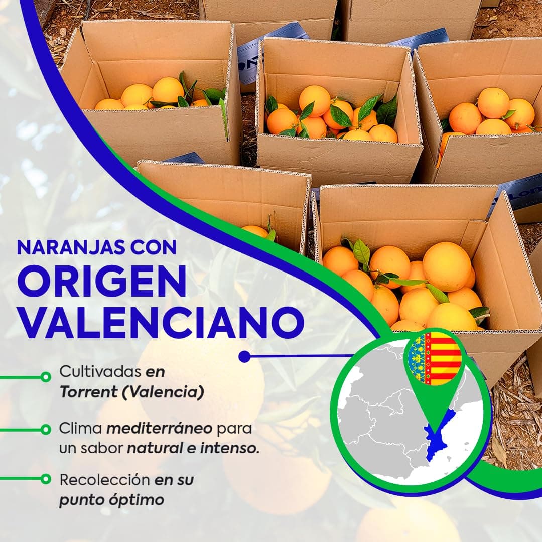 Naranjas de Valéncia directas del árbol recién recolectadas - del árbol a tu mesa sin tratamientos post cosecha - cajas de 5, 9, 15 y 19kg - fruta natural valenciana - naranja de mesa (9KG) — view 2