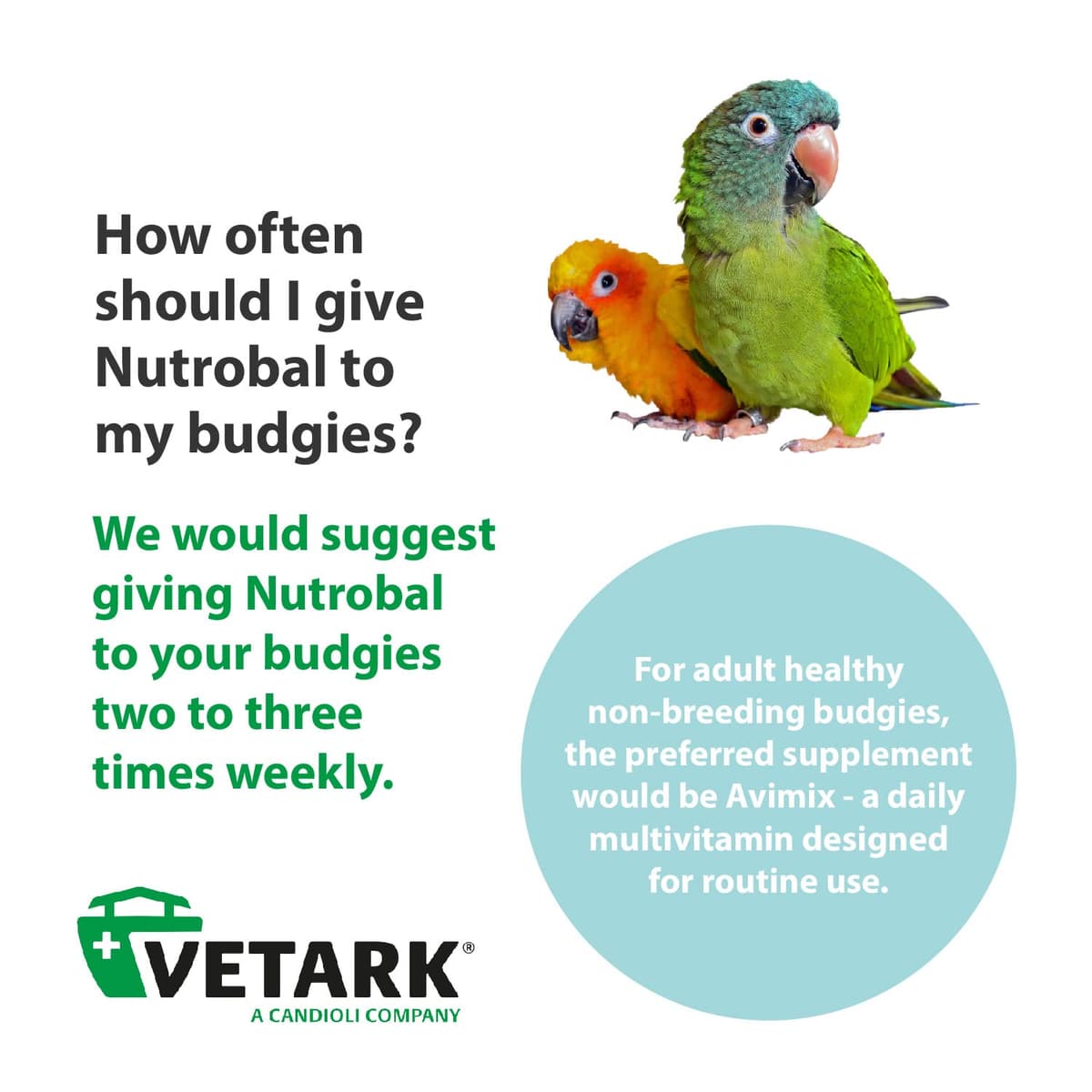 Nutrobal, Calcium & Vitamin D3 Mineral Supplement for Birds & Reptiles, Powder, Easy to Administer, 100g — view 6