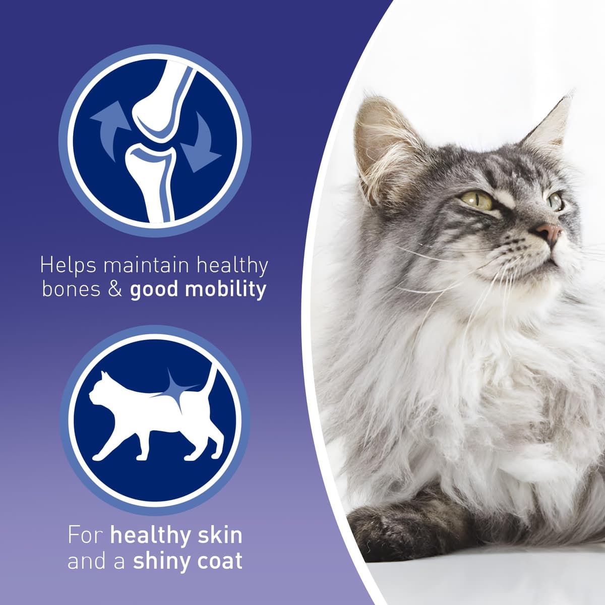 PURINA ONE Mini Fillets Mixed Selection in Gravy Adult Wet Cat Food 40x85g — view 4