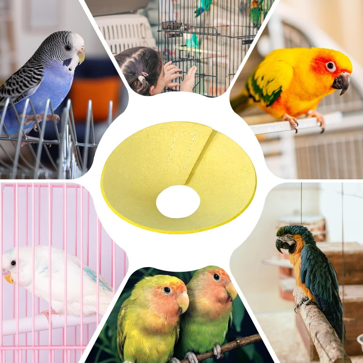 Collar Isabelino para Pájaros: Cono Antimasticable Suave, Escudo De Recuperación Ligero | Material De Cuero De Terciopelo Suave Al, Múltiples Opciones De Tamaño, Control De Humedad, Uso Cómodo, — view 4